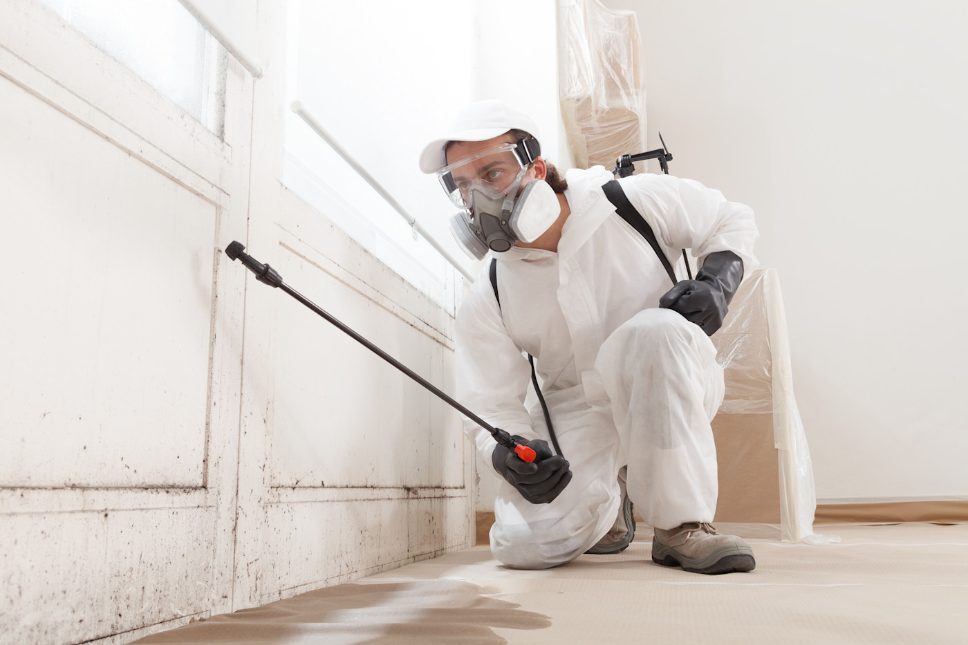 5 of the best mold removal services in Regensburg – tackle moisture and mold early