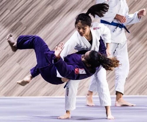 5 Best Judo Training Services in Bremen - Learn throws grappling and safe movement